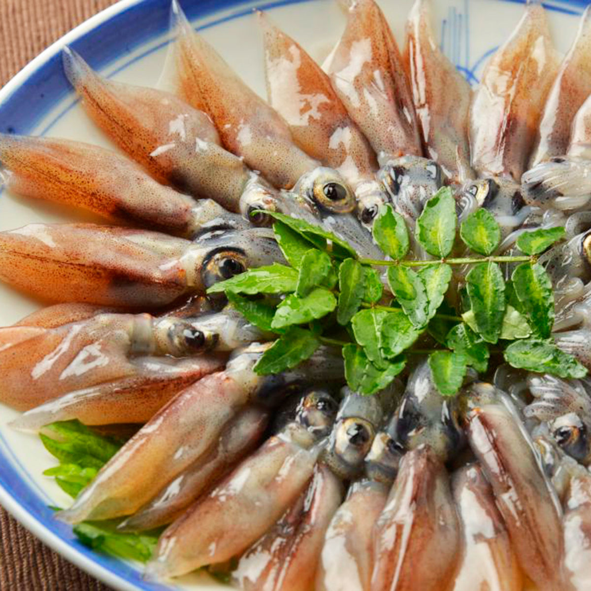 ホタルイカはなぜ光る ルシフェリンと生物発光の仕組み はまさか日記 澄風荘しょうふうそう ホタルイカはなぜ光る ルシフェリンと生物発光の仕組み はまさか日記 澄風荘しょうふうそう