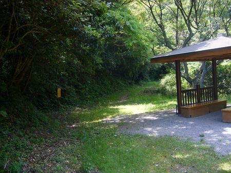 f:id:syogai1programa:20150730165334j:image