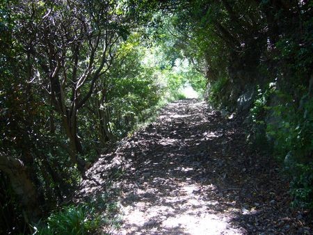 f:id:syogai1programa:20150730165337j:image