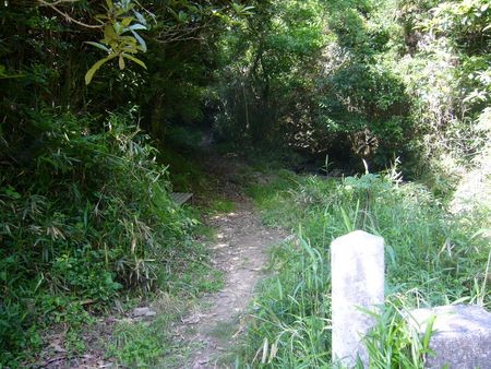 f:id:syogai1programa:20150730165339j:image