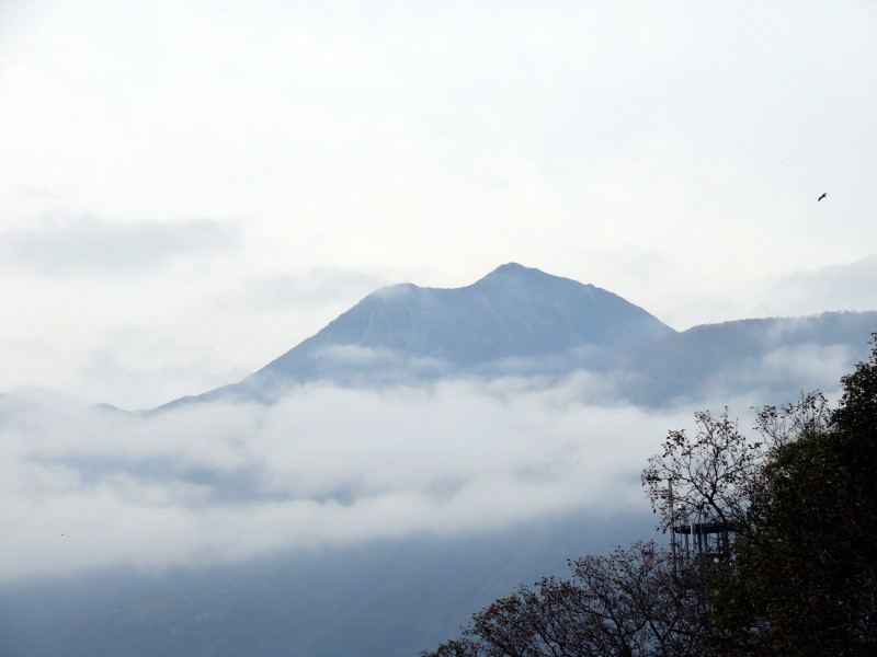 f:id:syogai1programa:20161120192030j:image:w640