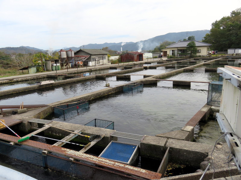 f:id:syogai1programa:20161129173533j:image:w640