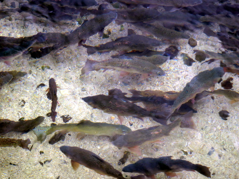 f:id:syogai1programa:20161129173535j:image:w640