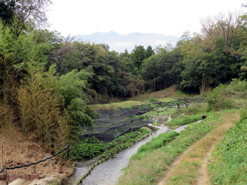 f:id:syogai1programa:20161129173537j:image:w640