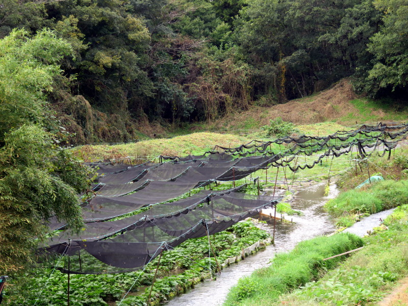 f:id:syogai1programa:20161129173538j:image:w640