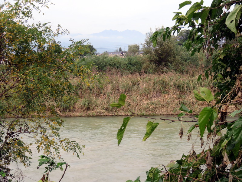 f:id:syogai1programa:20161207180946j:image:w640 f:id:syogai1programa:20161207180946j:image:w640