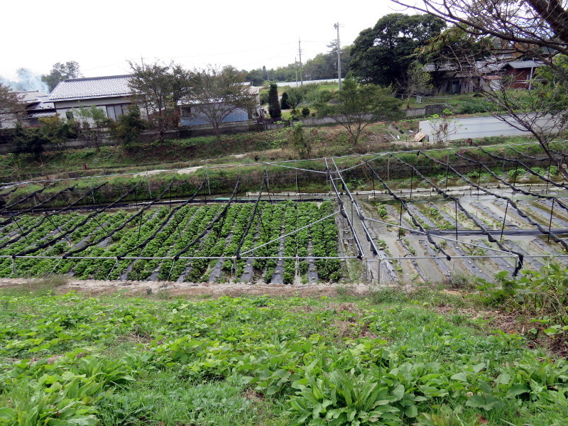 f:id:syogai1programa:20161209175735j:image:w640 f:id:syogai1programa:20161209175735j:image:w640