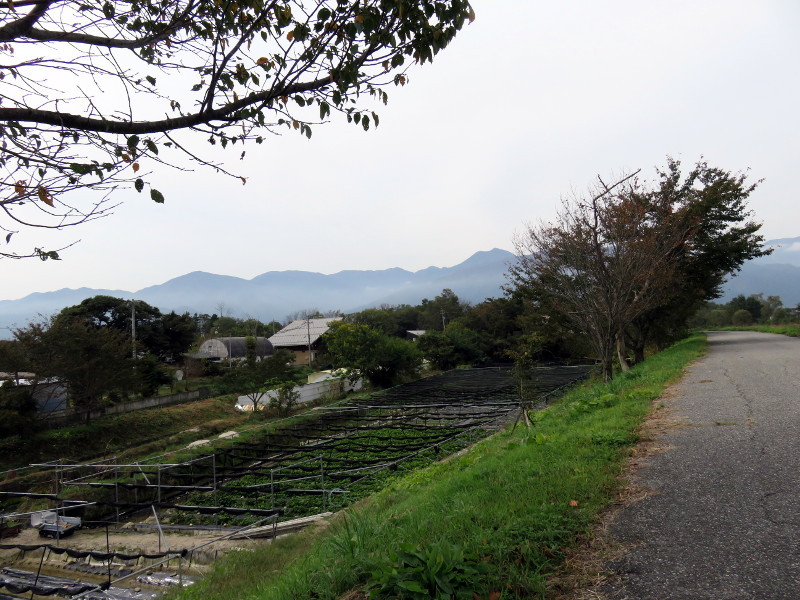 f:id:syogai1programa:20161209175737j:image:w640 f:id:syogai1programa:20161209175737j:image:w640