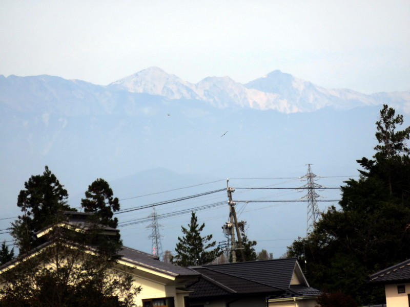 f:id:syogai1programa:20161209175741j:image:w640 f:id:syogai1programa:20161209175741j:image:w640