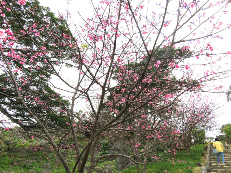 f:id:syogai1programa:20190328060610j:plain