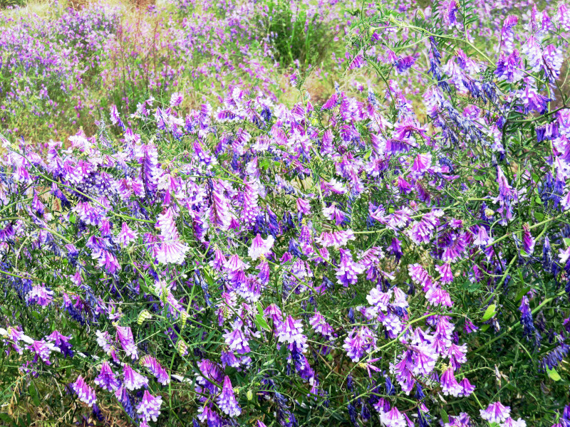 f:id:syogai1programa:20200515163519j:plain