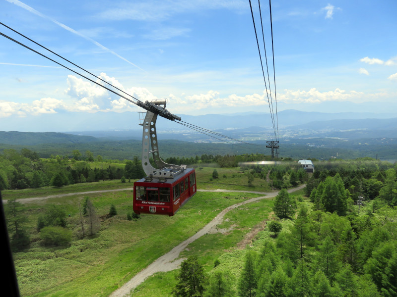 f:id:syogai1programa:20200809180539j:plain