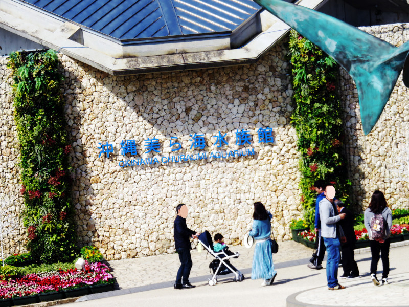 f:id:syogai1programa:20200810170353j:plain