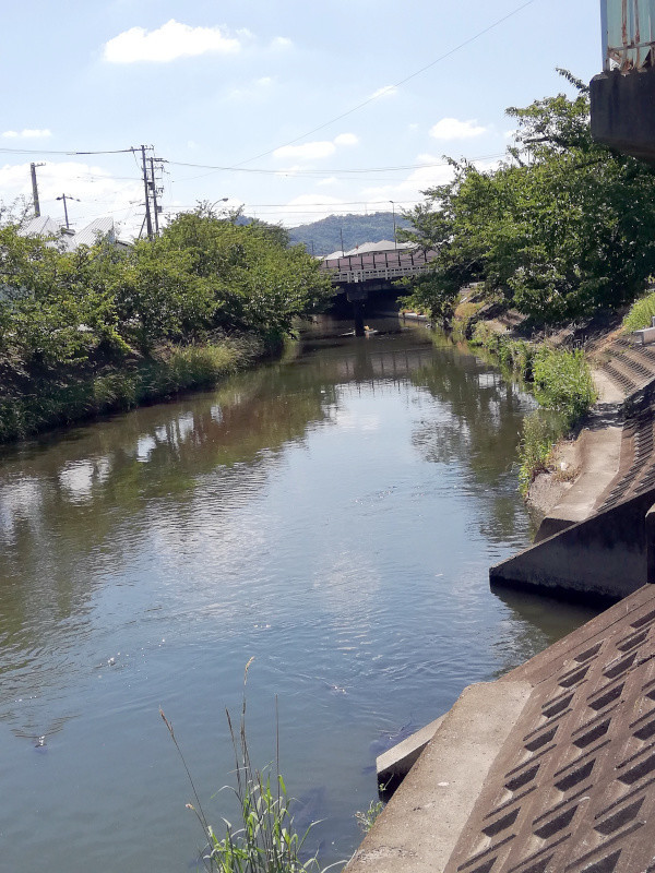 f:id:syogai1programa:20200815170423j:plain