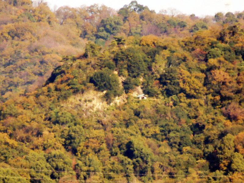 f:id:syogai1programa:20201209171229j:plain