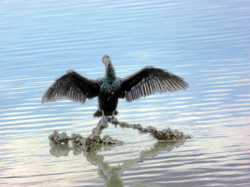 f:id:syogai1programa:20201219174811j:plain