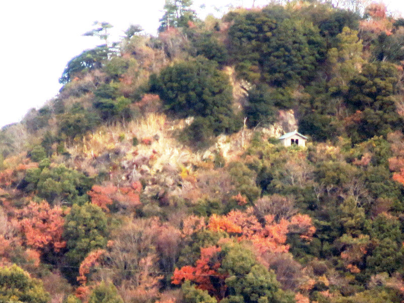 f:id:syogai1programa:20210106210649j:plain