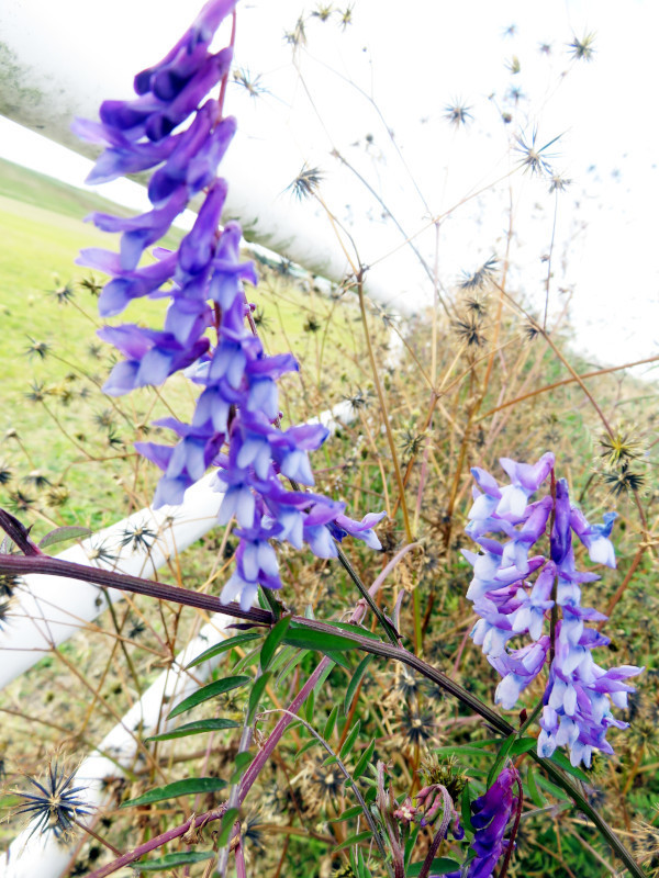 f:id:syogai1programa:20210111175059j:plain