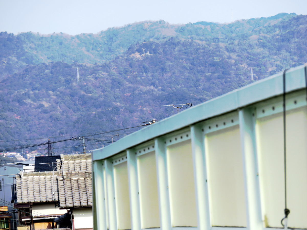 f:id:syogai1programa:20210117191859j:plain