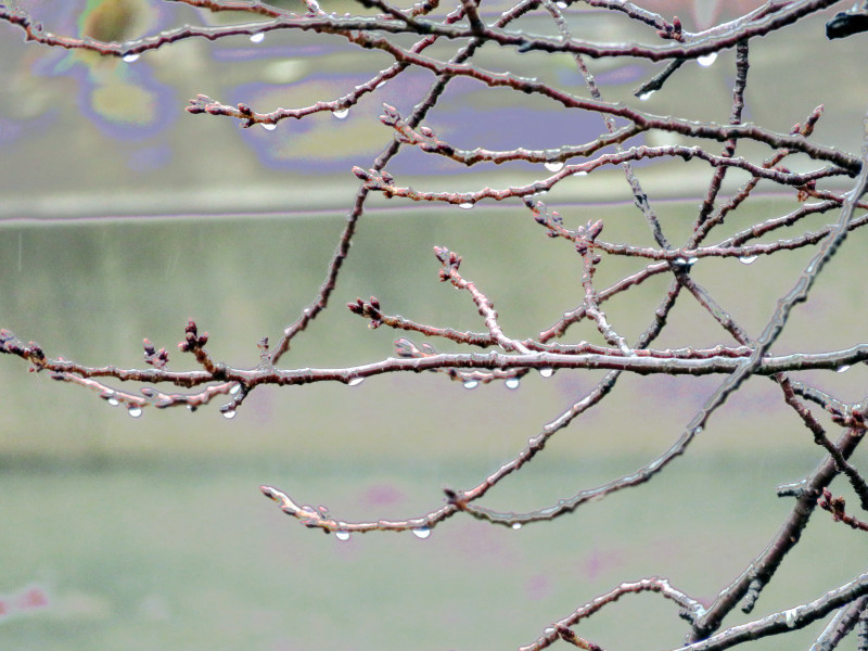 f:id:syogai1programa:20210124173641j:plain