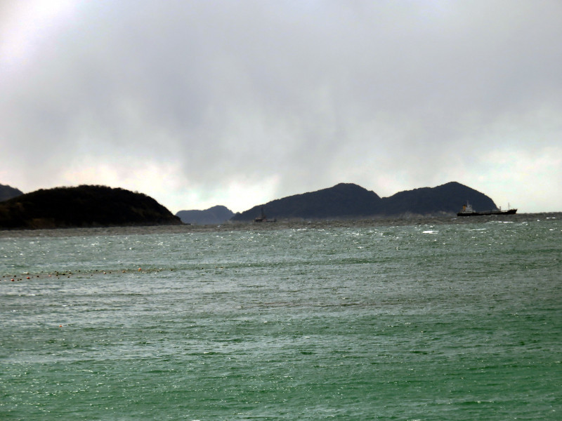 f:id:syogai1programa:20210129181314j:plain