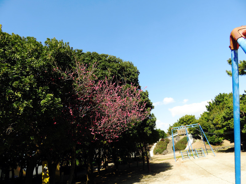 f:id:syogai1programa:20210205203601j:plain
