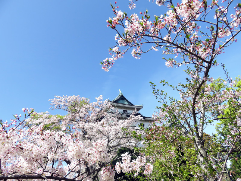 f:id:syogai1programa:20210404192357j:plain