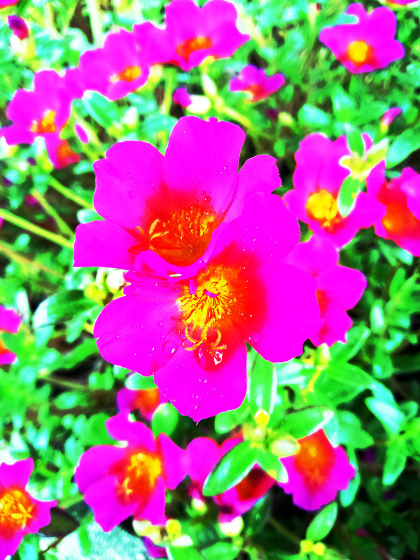 f:id:syogai1programa:20210820042506j:plain