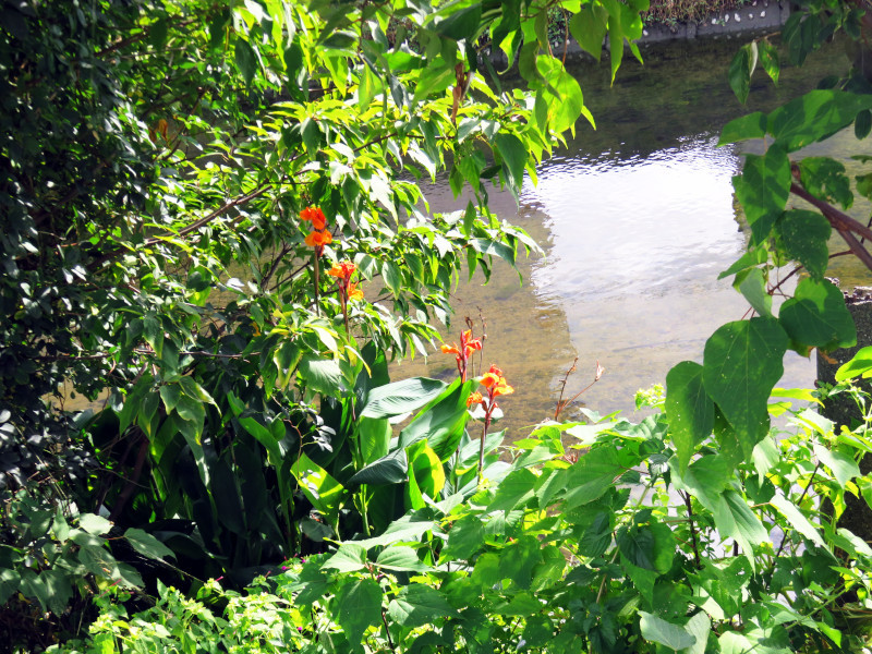 f:id:syogai1programa:20211031180650j:plain