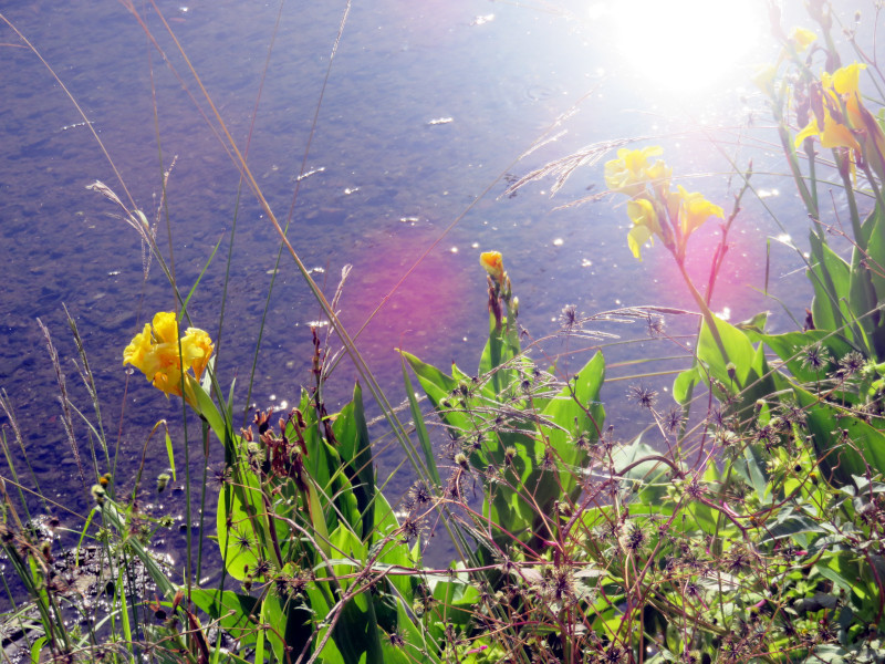 f:id:syogai1programa:20211101120335j:plain