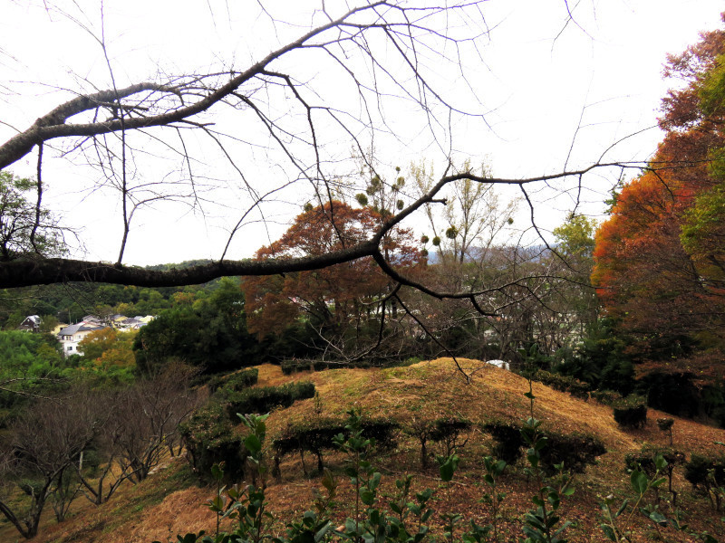 f:id:syogai1programa:20211109193413j:plain