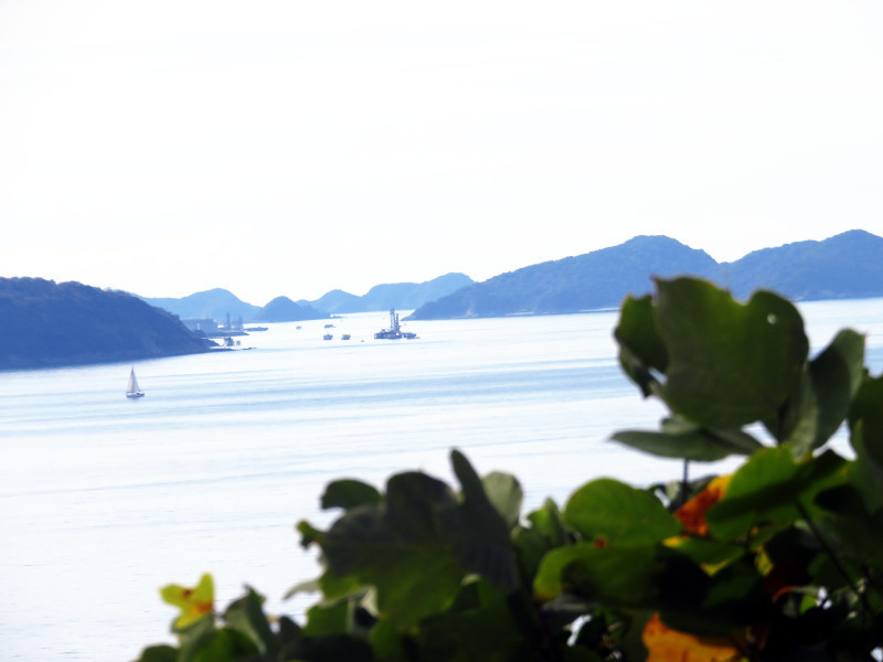 f:id:syogai1programa:20211123195848j:plain