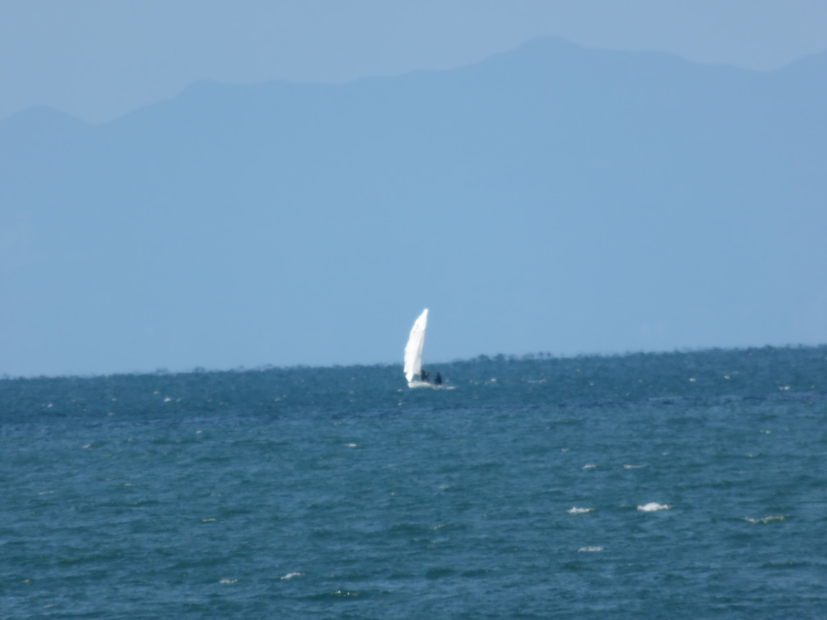 f:id:syogai1programa:20220112201812j:plain