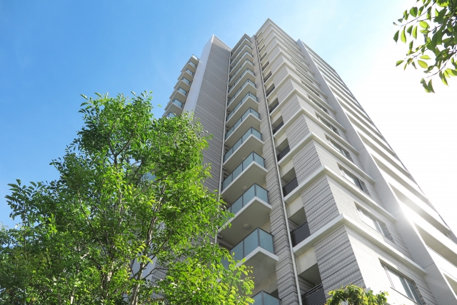 f:id:syokora11:20181114154016j:plain f:id:syokora11:20181114154016j:plain