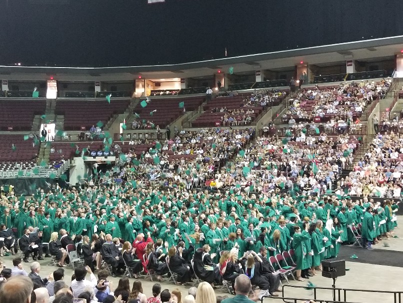 f:id:syokora11:20190310055343j:plain