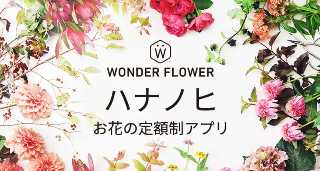 f:id:syokora11:20191005200056j:plain