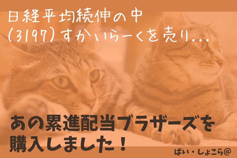 f:id:syokora11:20200527061518j:plain