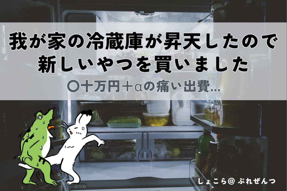 10万で買いました。 （ウィグ。10万で買いました。人毛です （天使の 
