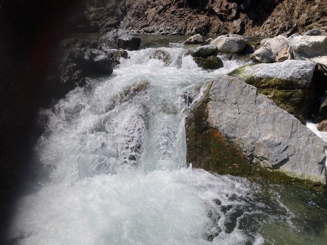 f:id:syomama0202:20220402123737j:plain