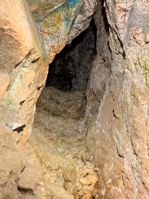 f:id:syomama0202:20220416230322j:plain