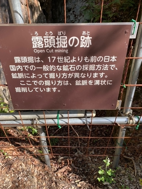 f:id:syomama0202:20220416230538j:plain