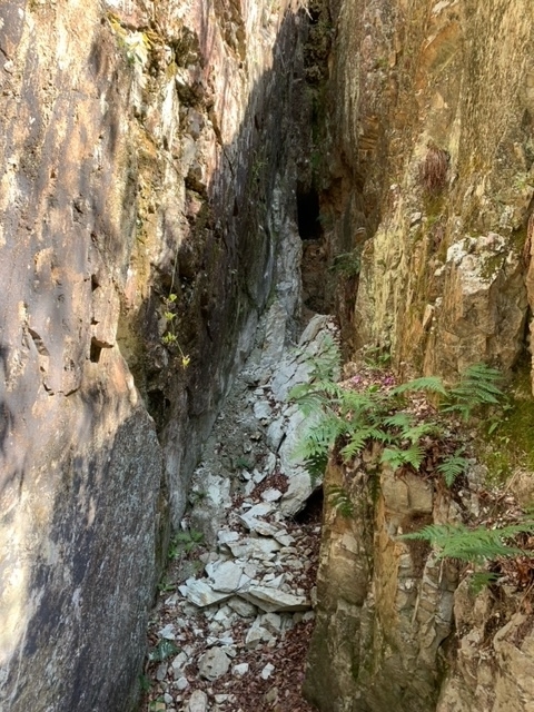 f:id:syomama0202:20220416230618j:plain