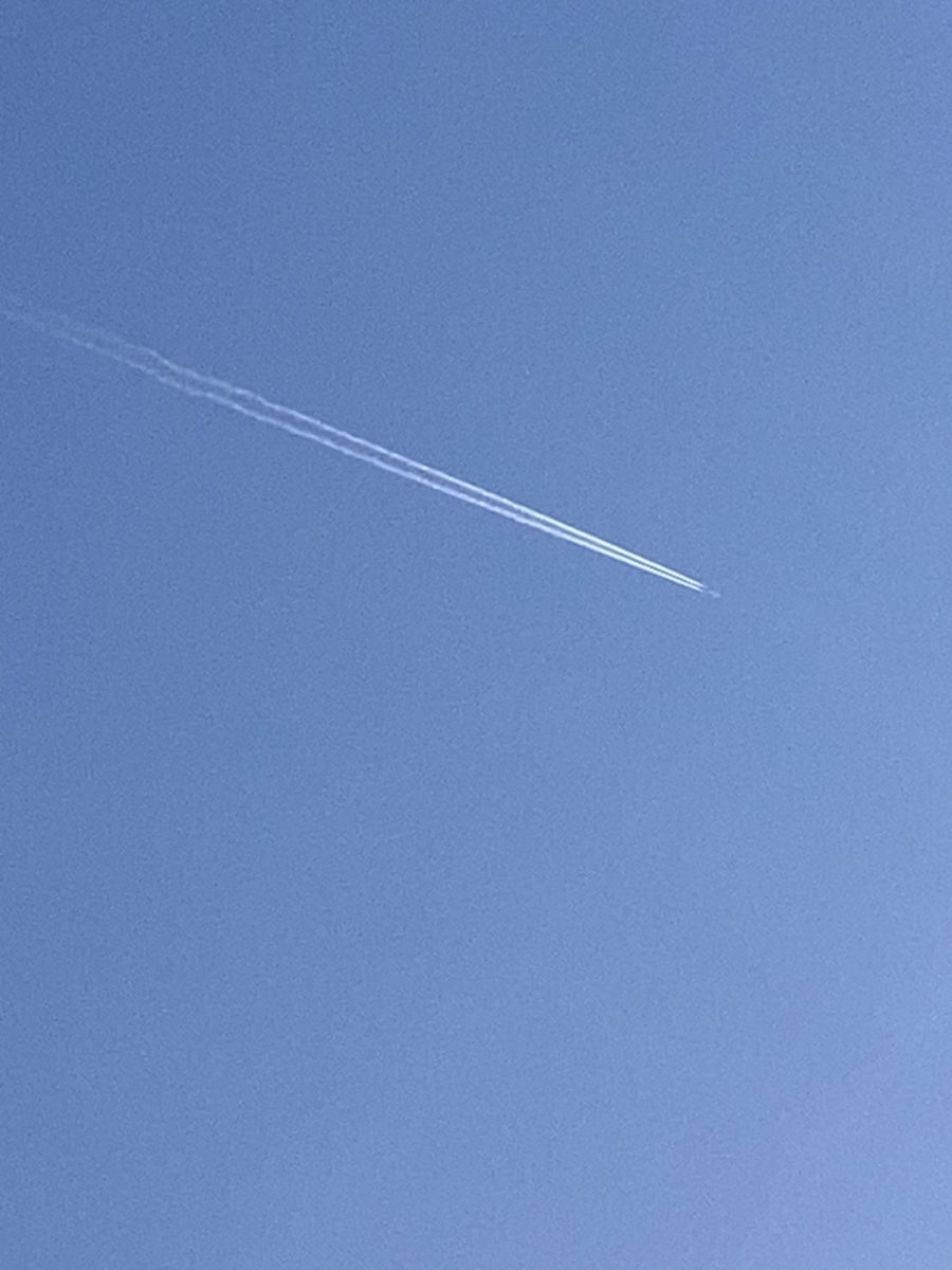 f:id:syomama0202:20220416230934j:plain