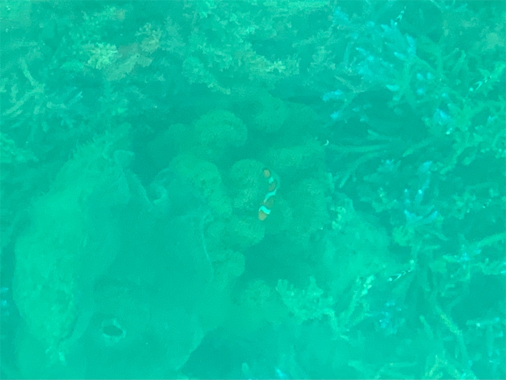 f:id:syomama0202:20230824161320j:image