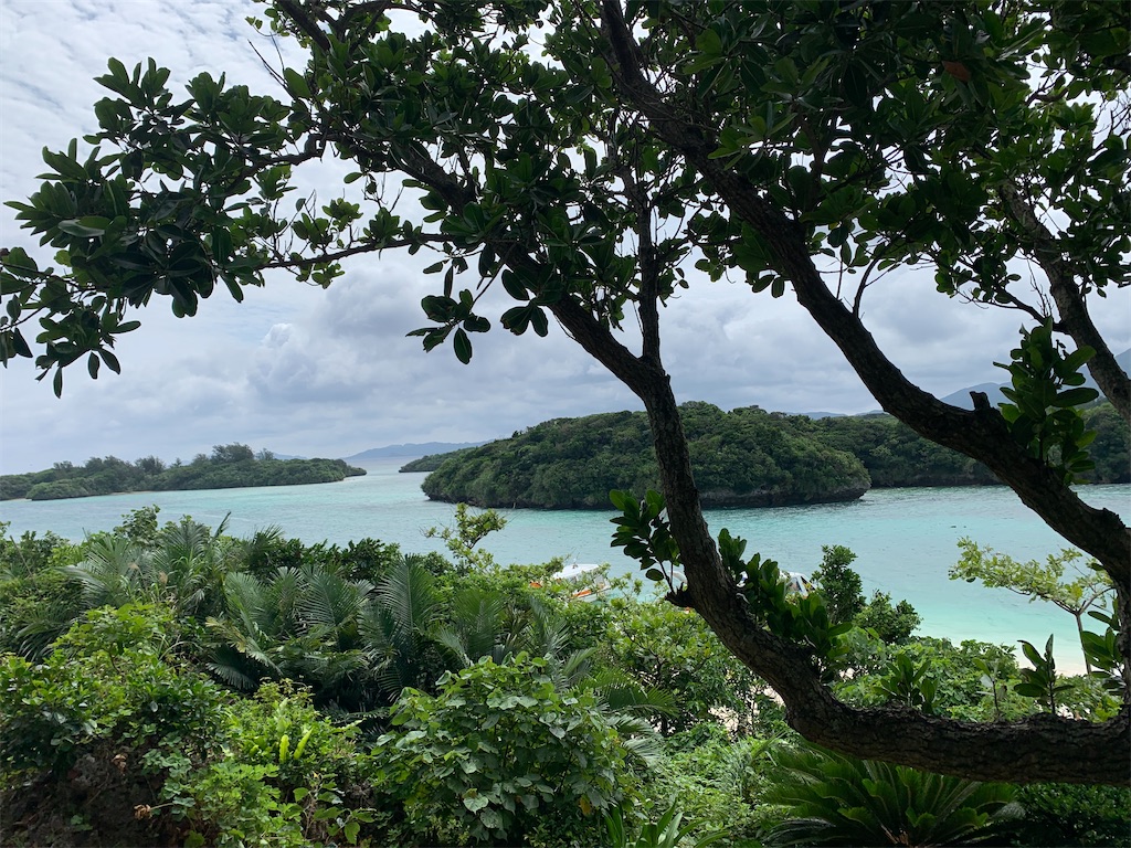 f:id:syomama0202:20230824161325j:image