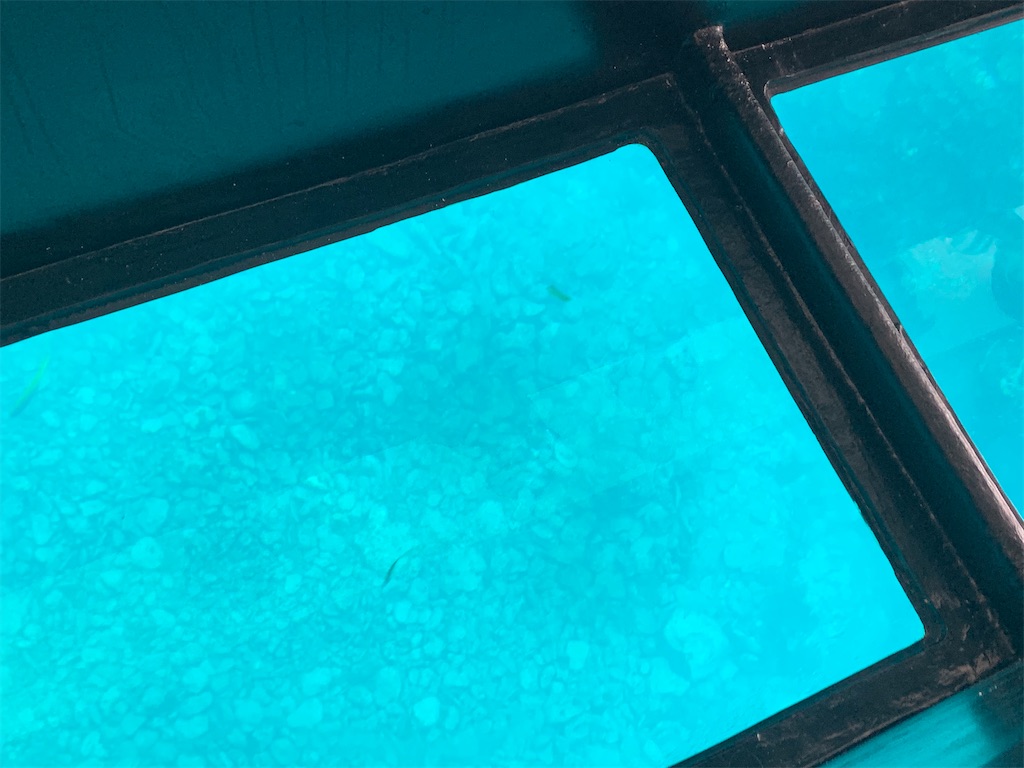 f:id:syomama0202:20230824161338j:image