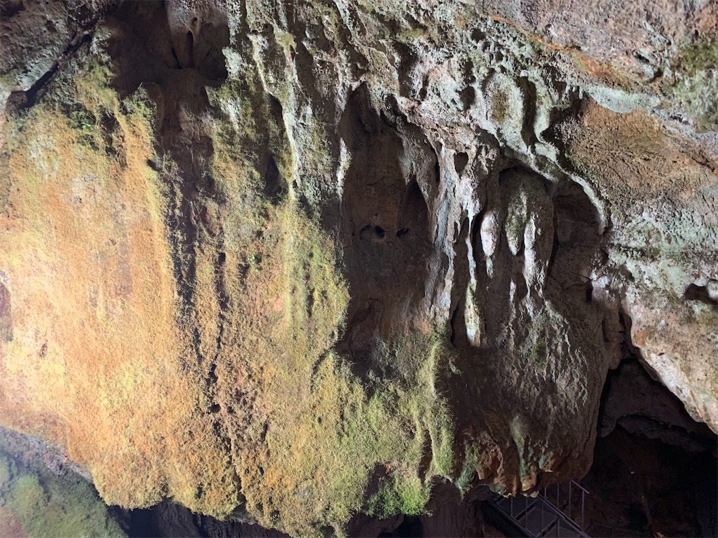 f:id:syomama0202:20230930230239j:image