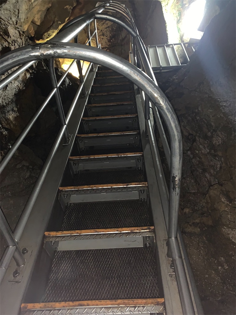 f:id:syomama0202:20230930230246j:image