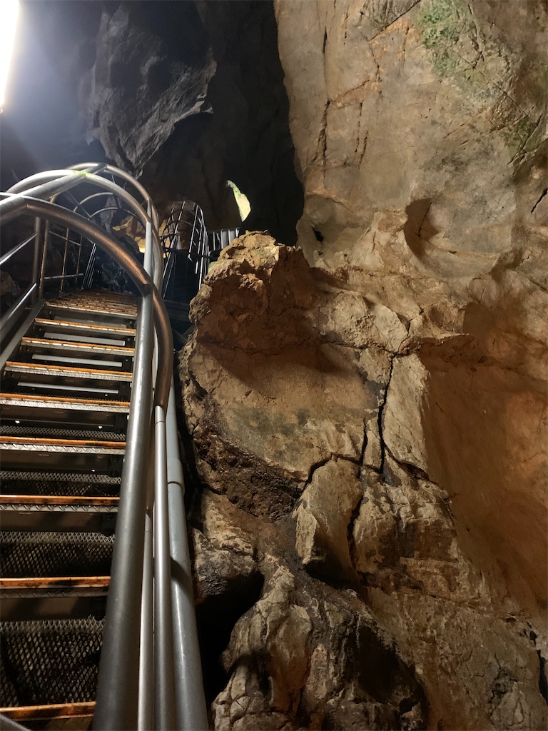 f:id:syomama0202:20230930230249j:image