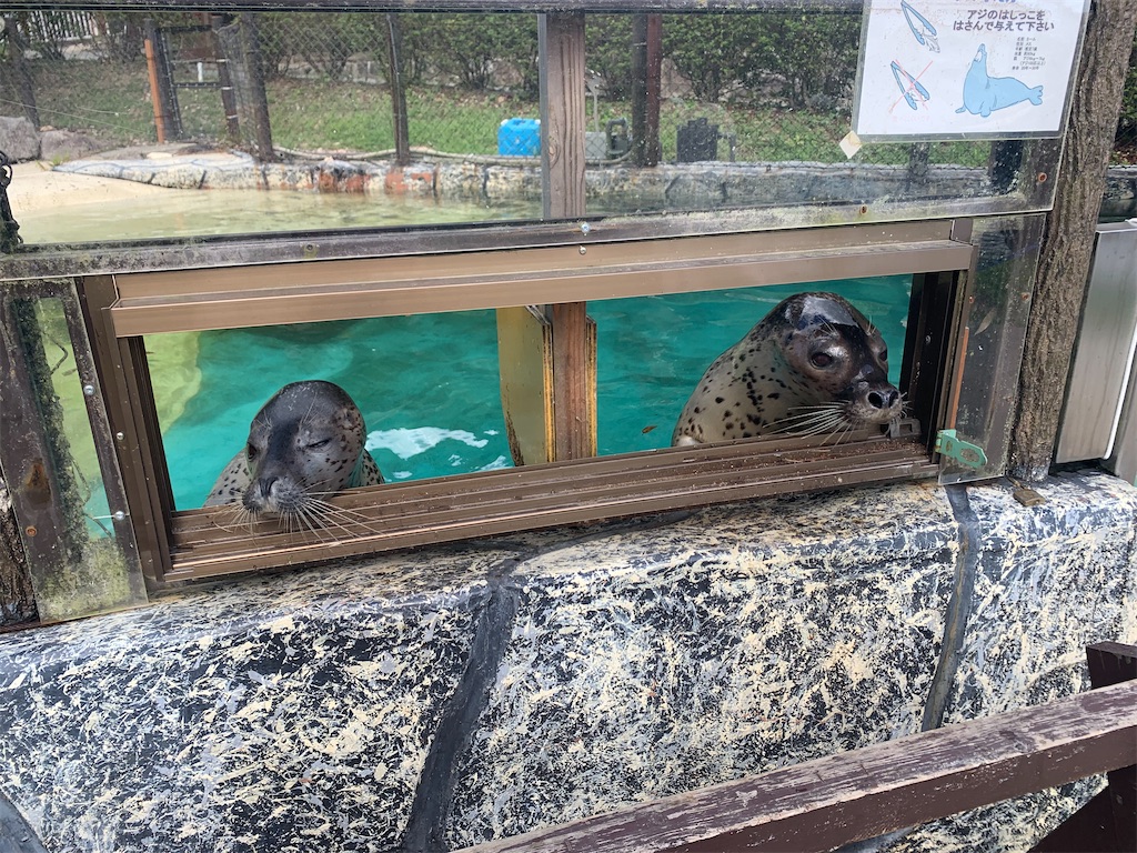 f:id:syomama0202:20231014212953j:image